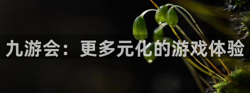 壹号官方app下载安装：九游会：更多元化的游戏体验
