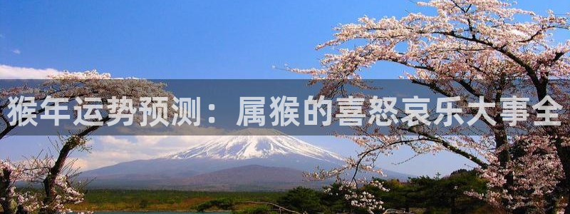 壹号大舞台官网：猴年运势预测：属猴的喜怒哀乐大事全