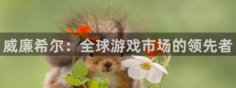 杏悦app下载官网：威廉希尔：全球游戏市场的领先者