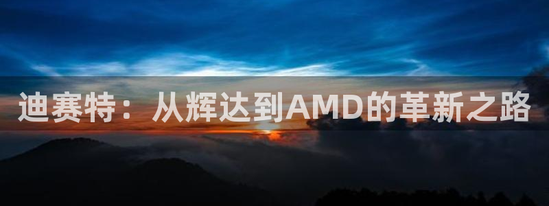 杏悦app下载地址：迪赛特：从辉达到AMD的革新之路