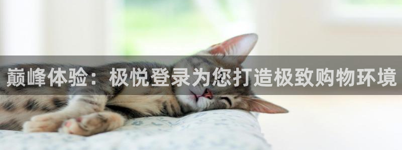 杏悦app下载：巅峰体验：极悦登录为您打造极致购物环境