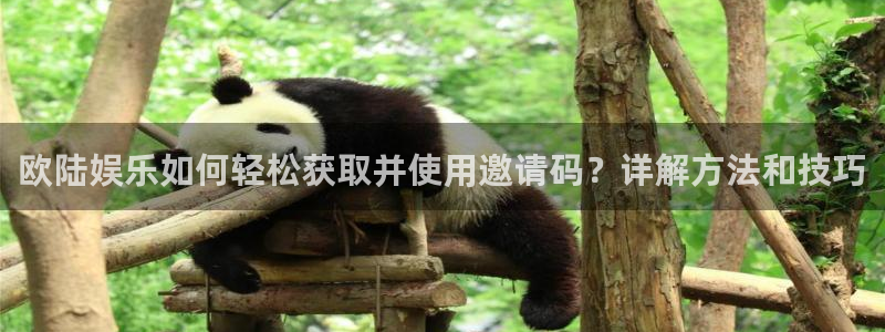 壹号app官方登录入口下载：欧陆娱乐如何轻松获取并使用邀请码？详解方法和技巧