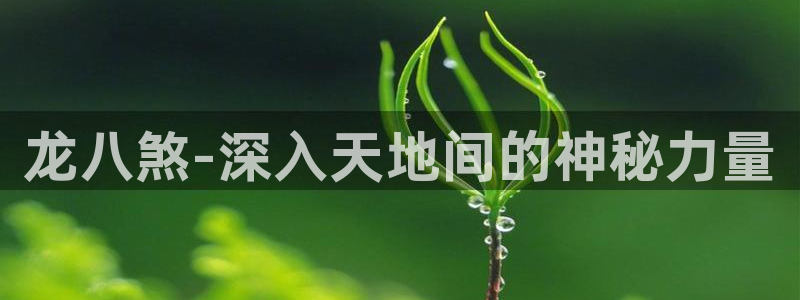 壹号大舞台28国际大舞台：龙八煞-深入天地间的神秘力量