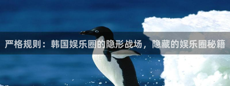 壹号app下载苹果：严格规则：韩国娱乐圈的隐形战场，隐藏的娱乐圈秘籍