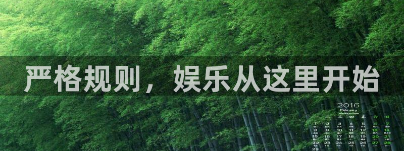 壹号app下载苹果：严格规则，娱乐从这里开始