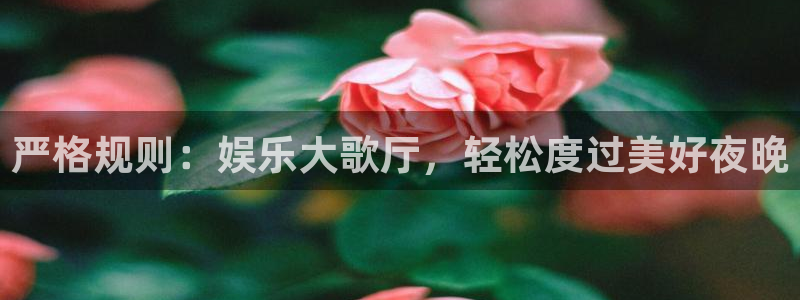 杏悦app下载安装：严格规则：娱乐大歌厅，轻松度过美好夜晚