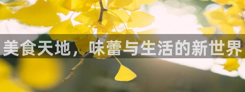 杏悦下载：美食天地，味蕾与生活的新世界
