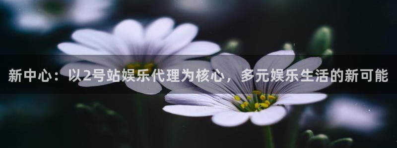 壹号电子娱乐app下载最新版本：新中心：以2号站娱乐代理为核心，多元娱乐生活的新可能