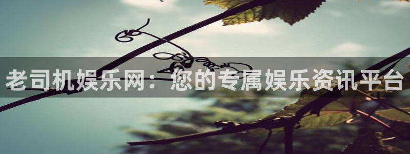杏悦app下载官网：老司机娱乐网：您的专属娱乐资讯平台