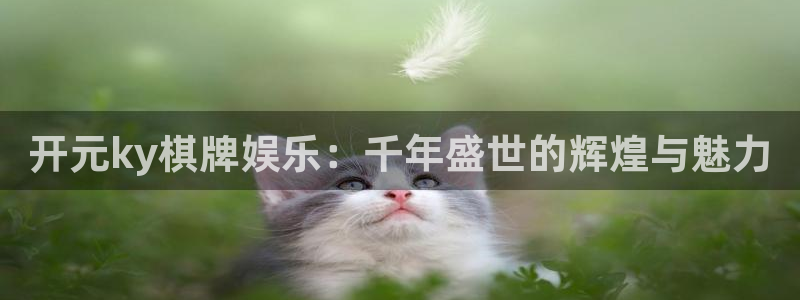 壹号大舞台下载：开元ky棋牌娱乐：千年盛世的辉煌与魅力