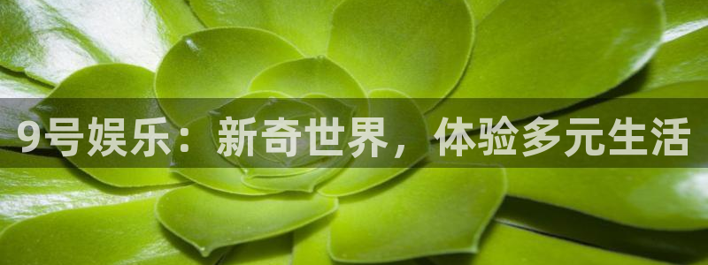 壹号大舞台怎么下载：9号娱乐：新奇世界，体验多元生活