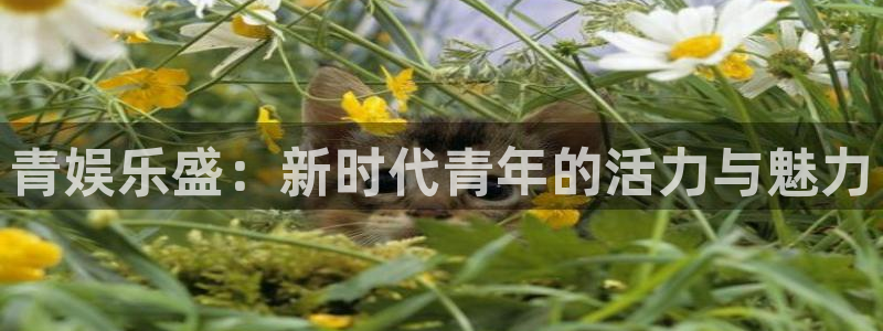 壹号大舞台：青娱乐盛：新时代青年的活力与魅力