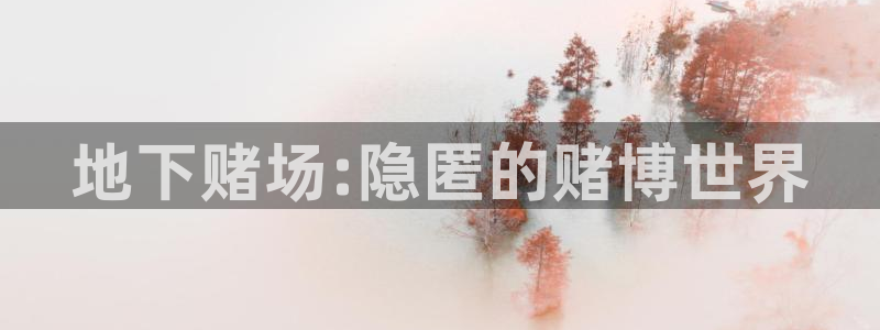 壹号玩家app下载：地下赌场:隐匿的赌博世界