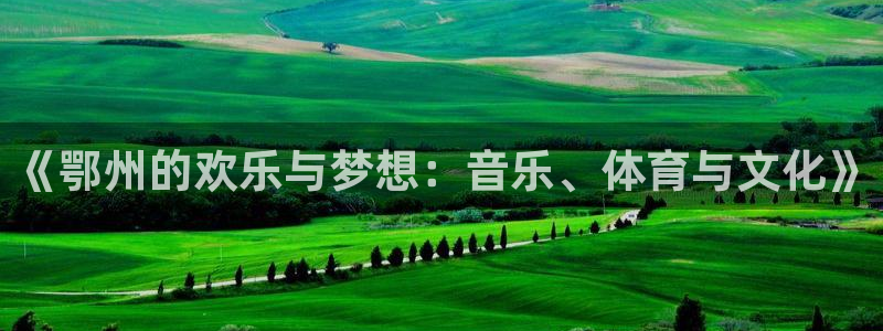 壹号电子娱乐app下载安装：《鄂州的欢乐与梦想：音乐、体育与文化》